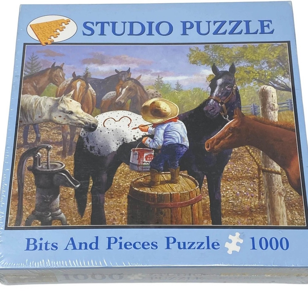 Bits And Pieces Studio Puzzle Connect The Dots 1000 Pieces Puzzle NEW